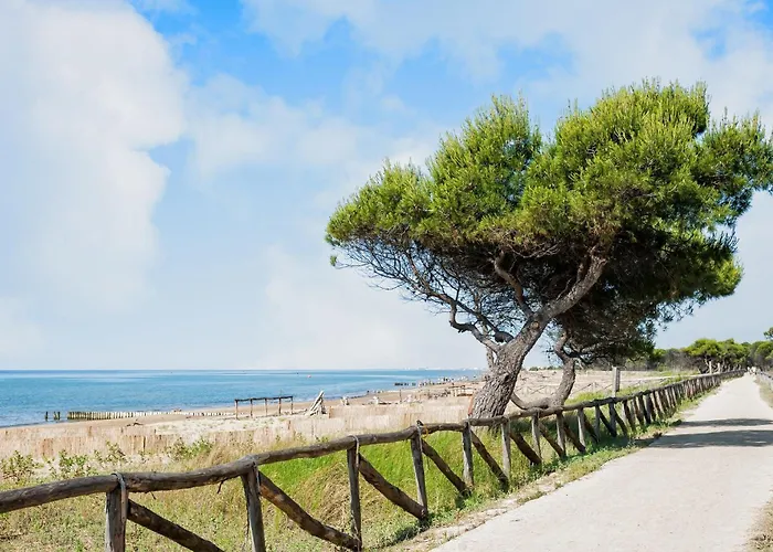 别墅 Modern Terraced House *